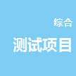 综合测试项目