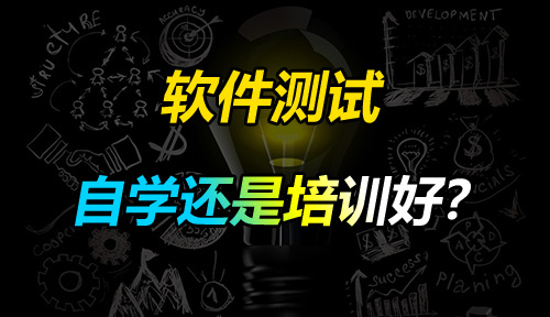 入门软件测试是培训还是自学好?